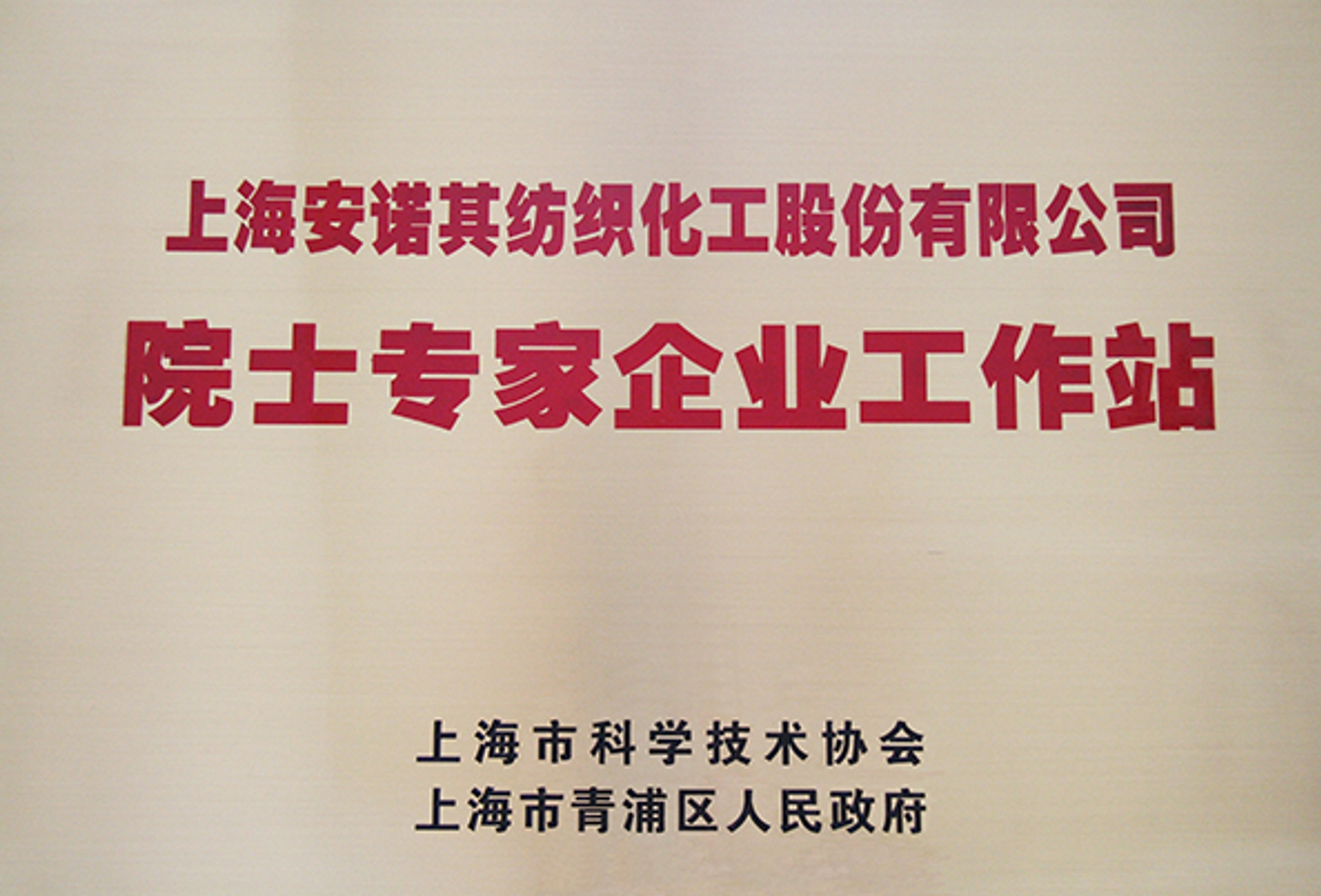 2012年成立上海市院士專家企業工作站