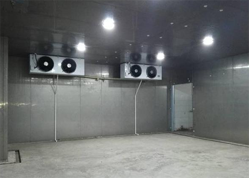 氣調(diào)冷庫(kù)建造廠家 氣調(diào)冷庫(kù)建造廠家