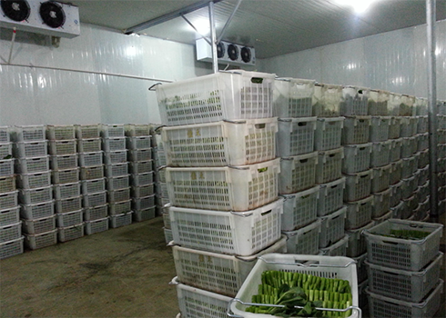 保鮮冷庫保養(yǎng)規(guī)范 保鮮冷庫保養(yǎng)規(guī)范