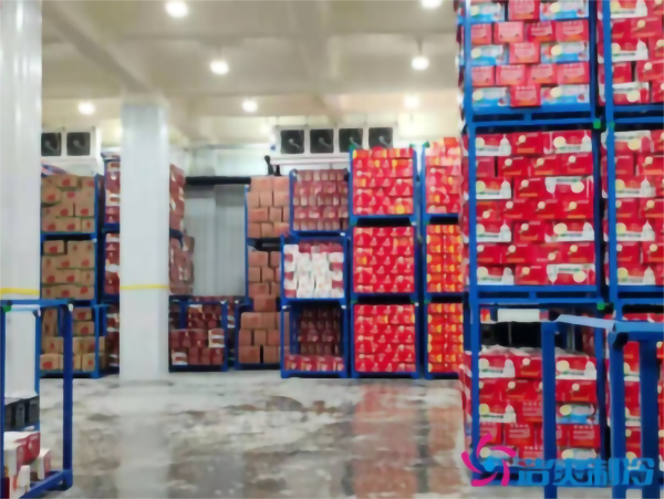 0~5℃果蔬冷藏庫建造 0~5℃果蔬冷藏庫建造