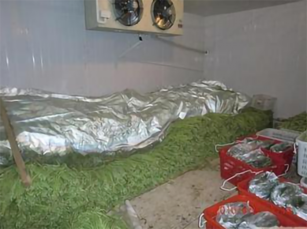 茶葉低溫冷藏庫(kù)建造 茶葉低溫冷藏庫(kù)建造