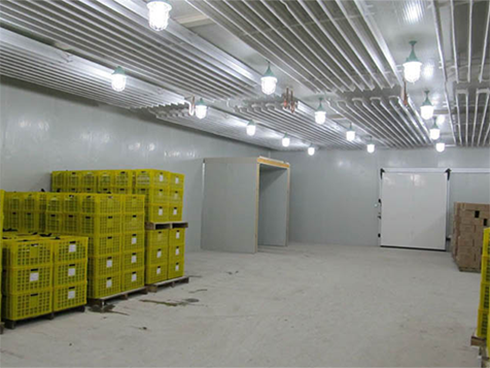 水果冷庫建設(shè)特點(diǎn) 水果冷庫建設(shè)特點(diǎn)