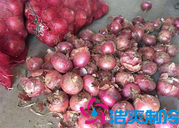 建造1000噸洋蔥保鮮冷庫(kù)安裝費(fèi)用是多少？