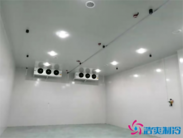 食品冷凍庫建造需要多少成本？_浩爽制冷