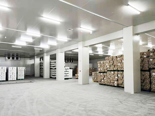 5000平方米物流冷庫安裝成本構(gòu)成_浩爽制冷 5000平方米物流冷庫安裝成本構(gòu)成_浩爽制冷