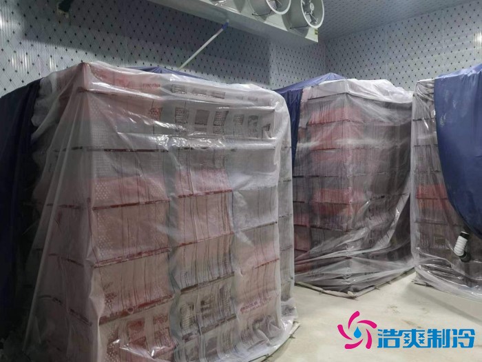 浙江“仙居楊梅”2000m3保鮮冷庫(kù)建造 浙江“仙居楊梅”2000m3保鮮冷庫(kù)建造