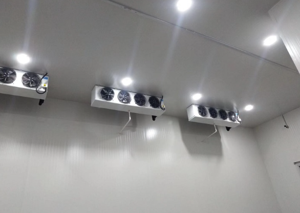 普通果蔬保鮮冷庫(kù)建造 普通果蔬保鮮冷庫(kù)建造