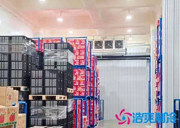 水果冷庫(kù)保鮮庫(kù)建造價(jià)格是多少錢(qián)？-浩爽制冷