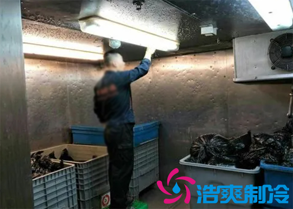 垃圾冷庫房設計方案,垃圾冷庫價格標準規(guī)范多少錢-浩爽制冷