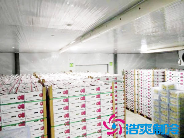 建造一個火龍果冷庫要花多少錢？-浩爽制冷