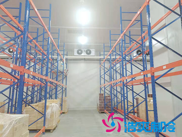 如何選擇專業(yè)的生鮮冷凍物流冷庫(kù)公司？-浩爽制冷
