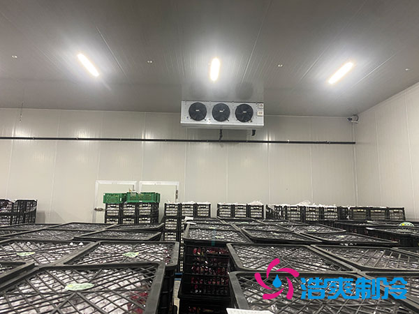 嘉定雞蛋冷庫安裝建造多少錢？-浩爽制冷