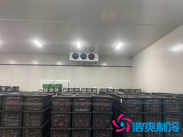 中型冷庫安裝造價多少錢？中型冷庫造價表-浩爽制冷