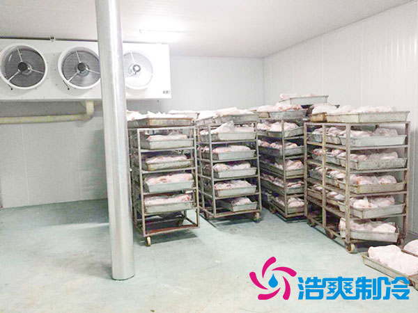 速凍冷庫安裝 速凍冷庫安裝