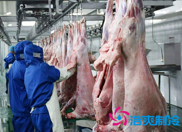 排酸冷庫安裝價錢多少錢？-浩爽制冷