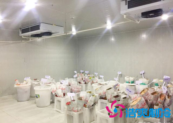 做個(gè)鮮花冷庫要多少錢？-浩爽制冷