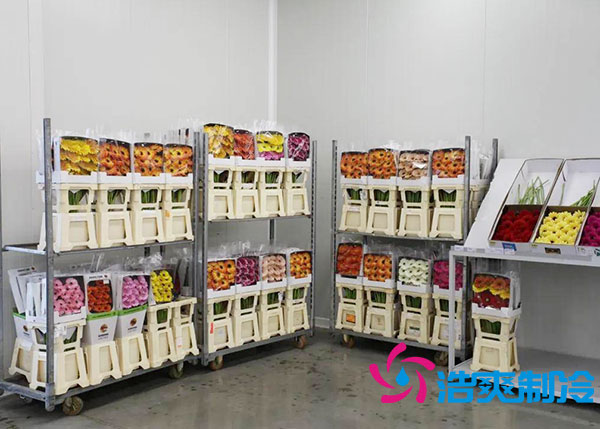 鮮花冷庫(kù)多少錢一平方？-浩爽制冷