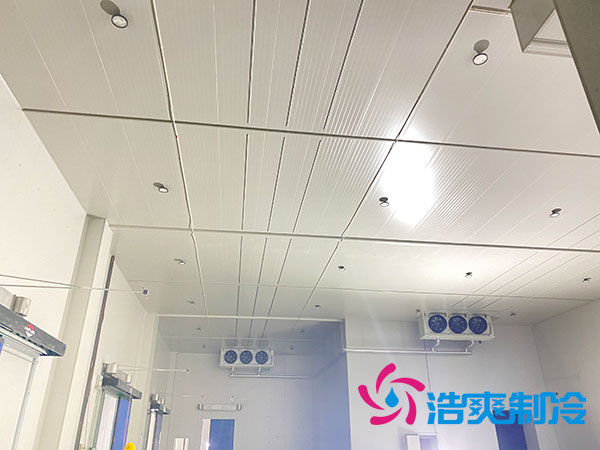 江蘇大型冷庫設(shè)計(jì) 江蘇大型冷庫設(shè)計(jì)