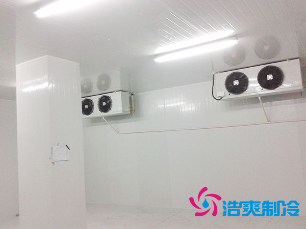珠海雪糕冷庫(kù)安裝哪里買(mǎi)？-浩爽制冷