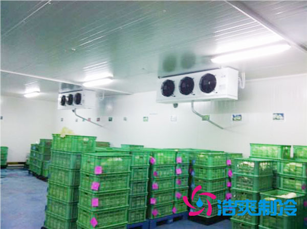 茶葉冷庫造價(jià)多少一平方米？-浩爽制冷