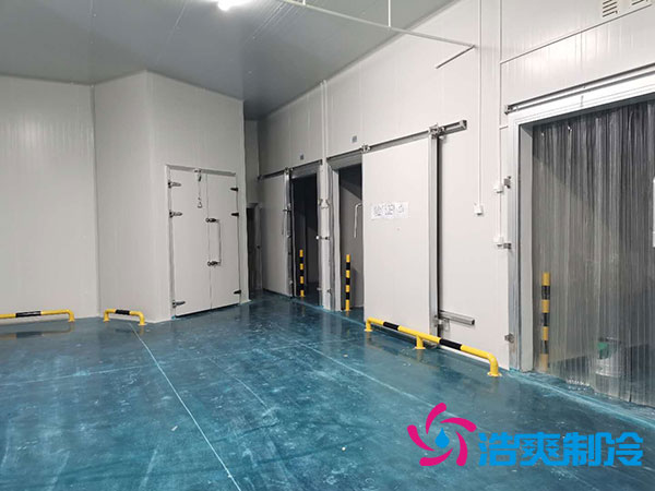 郴州速凍食品冷庫(kù)造價(jià)多少錢一平方？-浩爽制冷