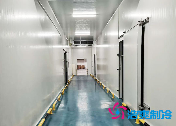 郴州速凍食品冷庫(kù)造價(jià)多少錢一平方？-浩爽制冷
