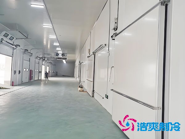 500噸容量冷庫(kù)造價(jià)