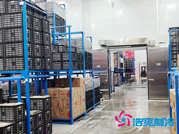 生鮮冷鏈物流冷庫建造價格