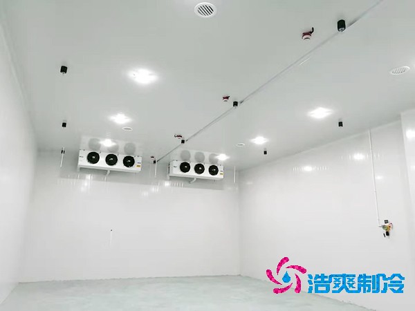 冷庫造價(jià)揭秘：300平方米到底要花多少錢？-浩爽制冷