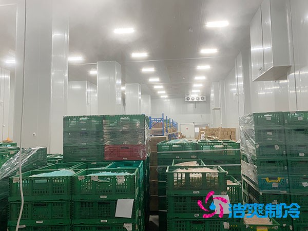 夏季蔬菜保鮮難？500噸冷庫(kù)建造價(jià)格揭秘！