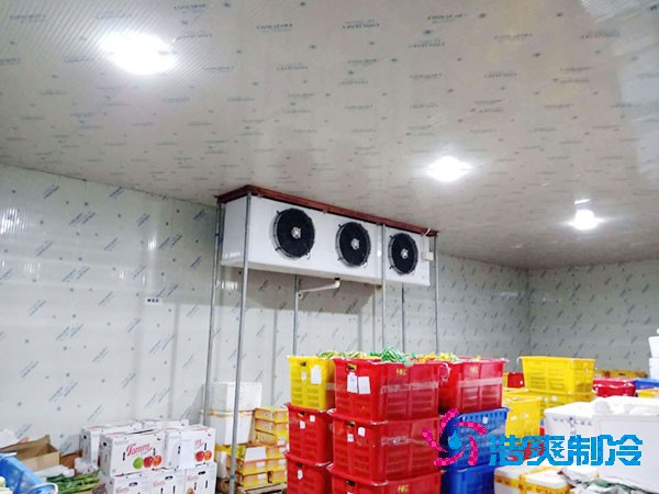 50噸冷庫造價及建造面積