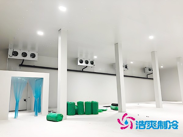 堅(jiān)果冷庫建設(shè)預(yù)算