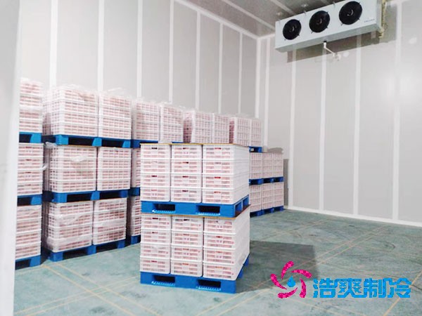 大型氣調(diào)冷庫(kù)造價(jià)